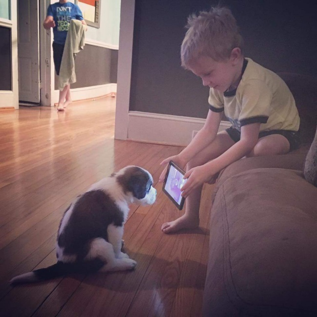 Illustration de l'article : Ces 20 photos dévoilent la complicité entre les enfants et leur animal de compagnie
