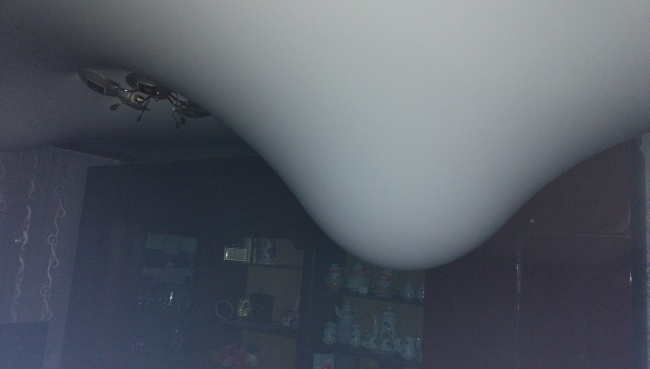 Illustration de l'article : 24 des pires poisses les plus redoutées