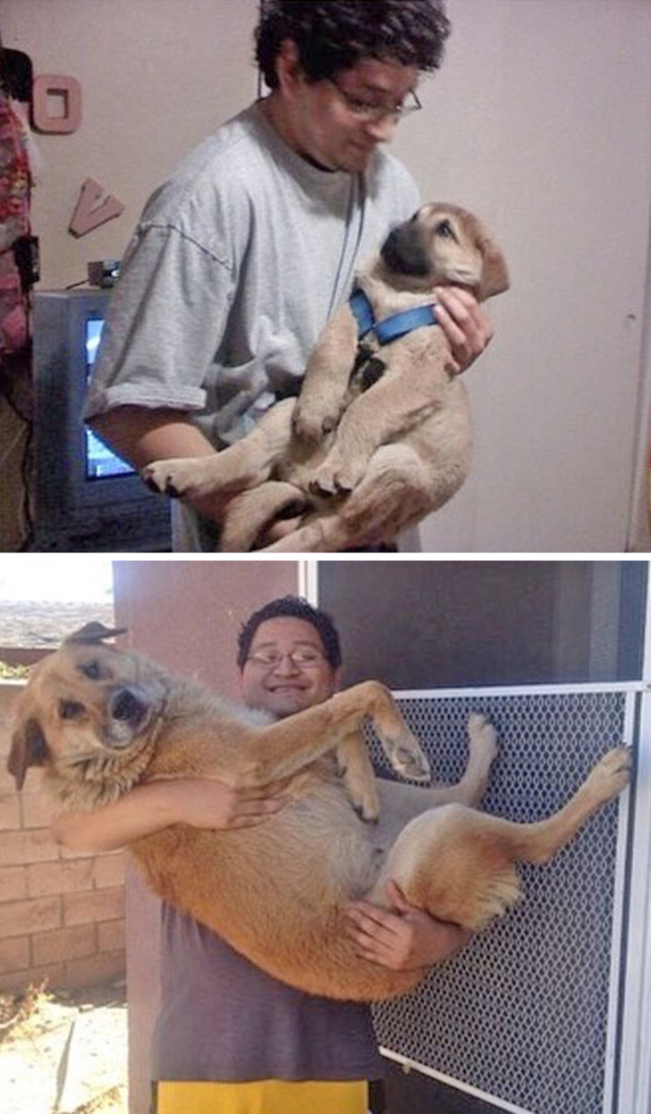 Illustration de l'article : Ces 16 photos qui font renaître le passé de ces personnes