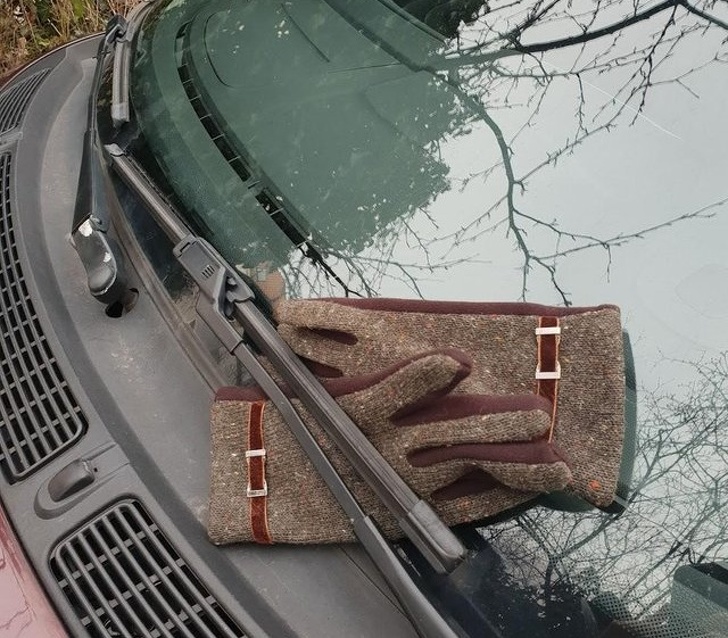 Illustration de l'article : Ces 21 personnes qui font un geste pour que le monde change