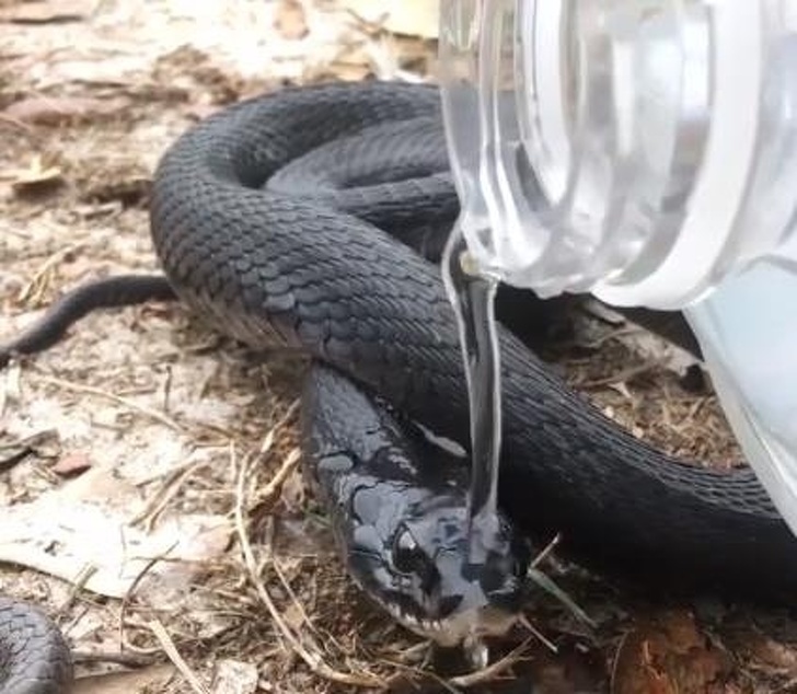 Illustration de l'article : Ces 21 personnes qui font un geste pour que le monde change