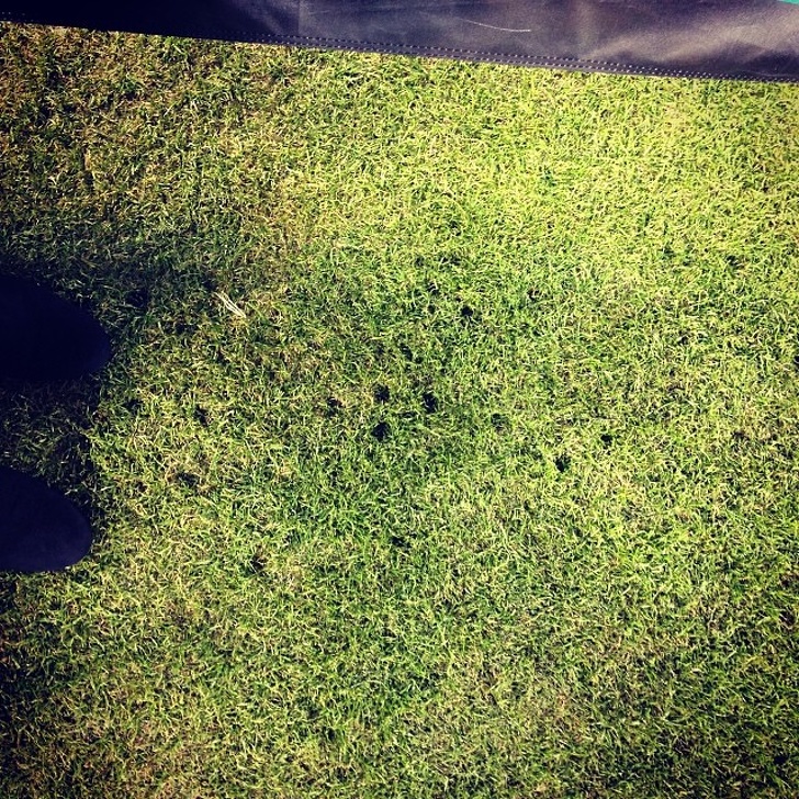 Illustration de l'article : Ces 19 problèmes rencontrés principalement par les filles