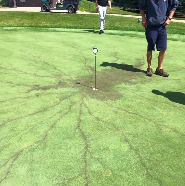 Illustration de l'article : Ces 20 situations dignes d'exp&eacute;riences scientifiques