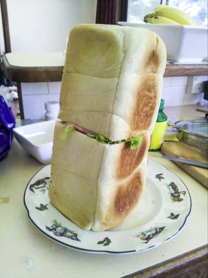 Illustration de l'article : Ces 14 personnes qui tentent d'apprendre la vie