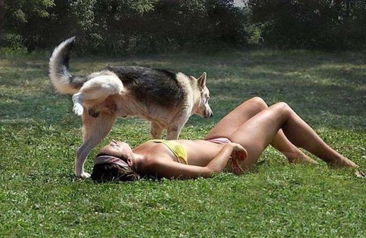 Illustration de l'article : Ces 18 fois où la vie s’est vengée de la pire des façons