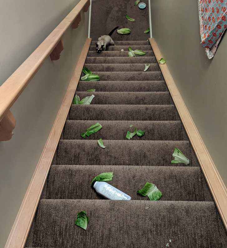 Illustration de l'article : Ces 19 photos qui témoignent des mauvais jours