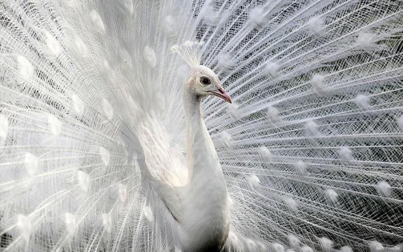 Illustration de l'article : 15 merveilles du monde mises avant par le talent des pros de la photo !