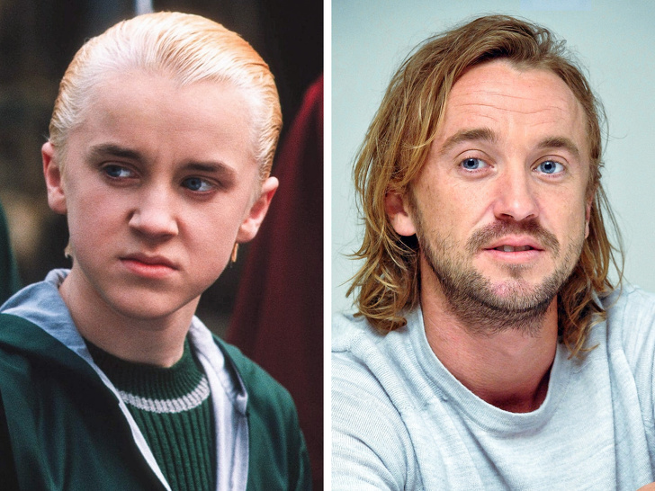 Illustration de l'article : Ces 12 acteurs transformés par la saga Harry Potter