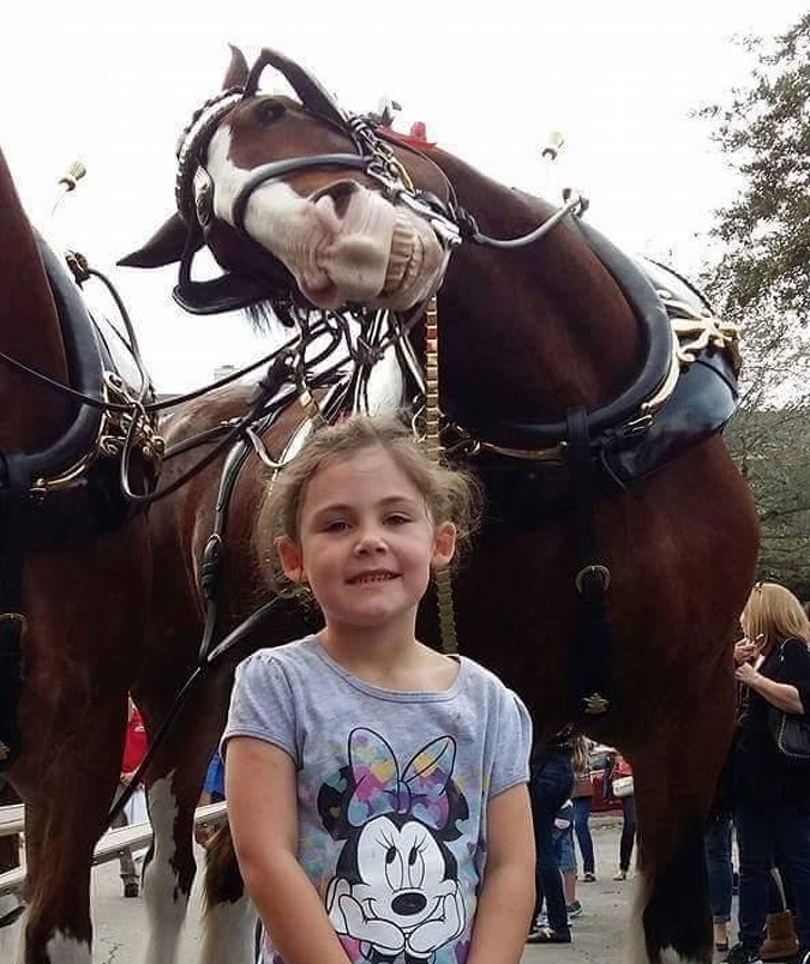 Illustration de l'article : Ces 21 photos où l'arrière-plan a pris le dessus sur le devant