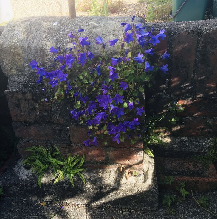 Illustration de l'article : Ces 14 photos qui montrent la puissance de la nature