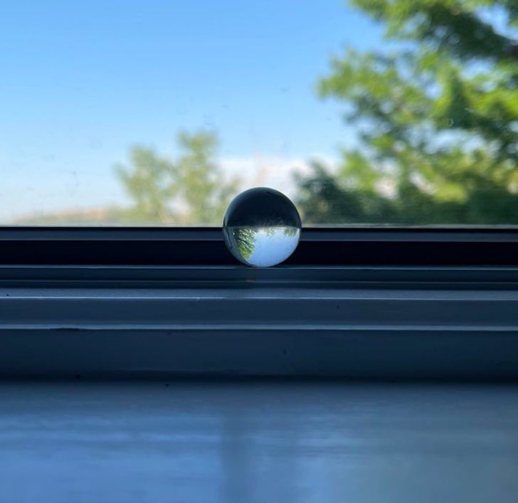 Illustration de l'article : Ces 19 photos qui illustrent la beaut&eacute; de la nature 