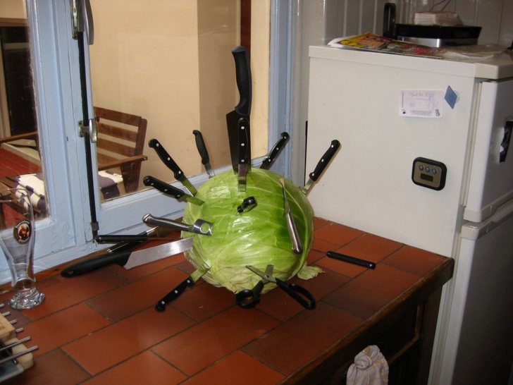 Illustration de l'article : Ces 20 photos de personnes qui ne devraient rien toucher