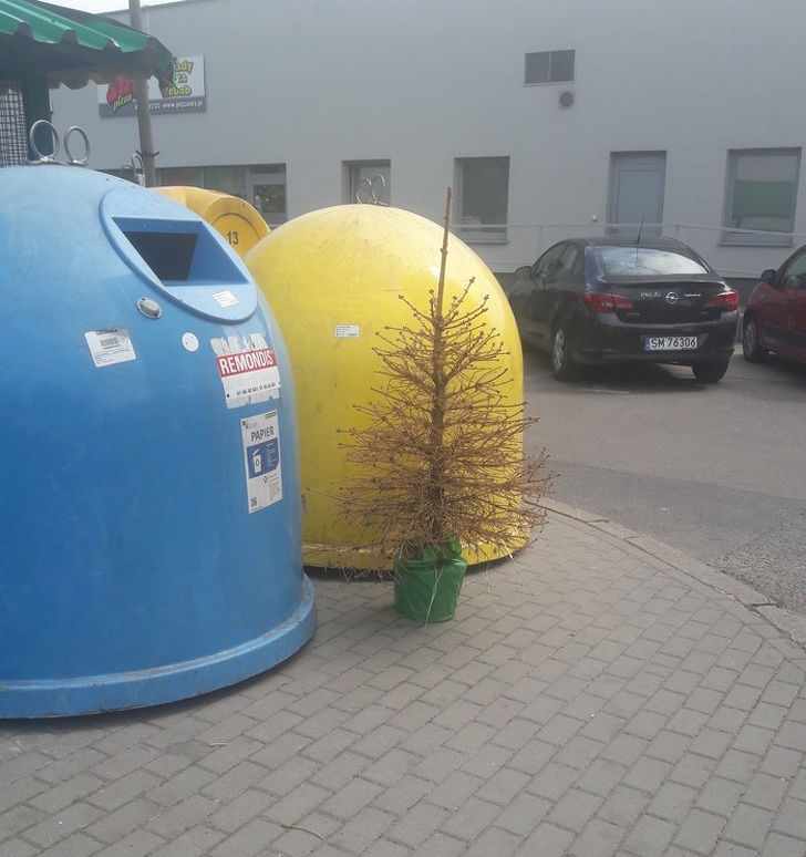 Illustration de l'article : Ces 14 images de la paresse en action