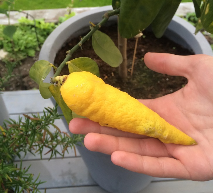 Illustration de l'article : Ces 20 photos déclenchées quand il le fallait