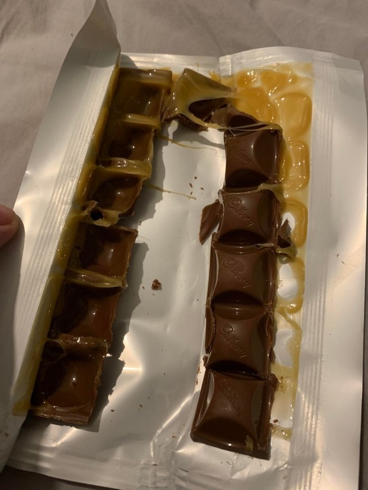 Illustration de l'article : Ces 22 photos qui font perdre patience