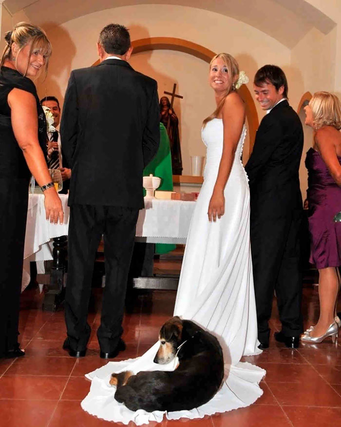 Illustration de l'article : 20 photos de mariage qui vont laisser des souvenirs inoubliables aux futurs mariés