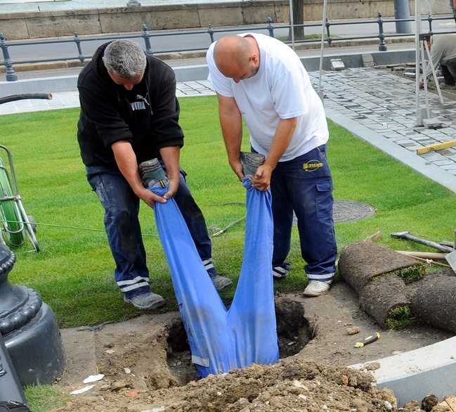 Illustration de l'article : Certains choix sont plus intelligents que d'autres, la preuve en 28 photos