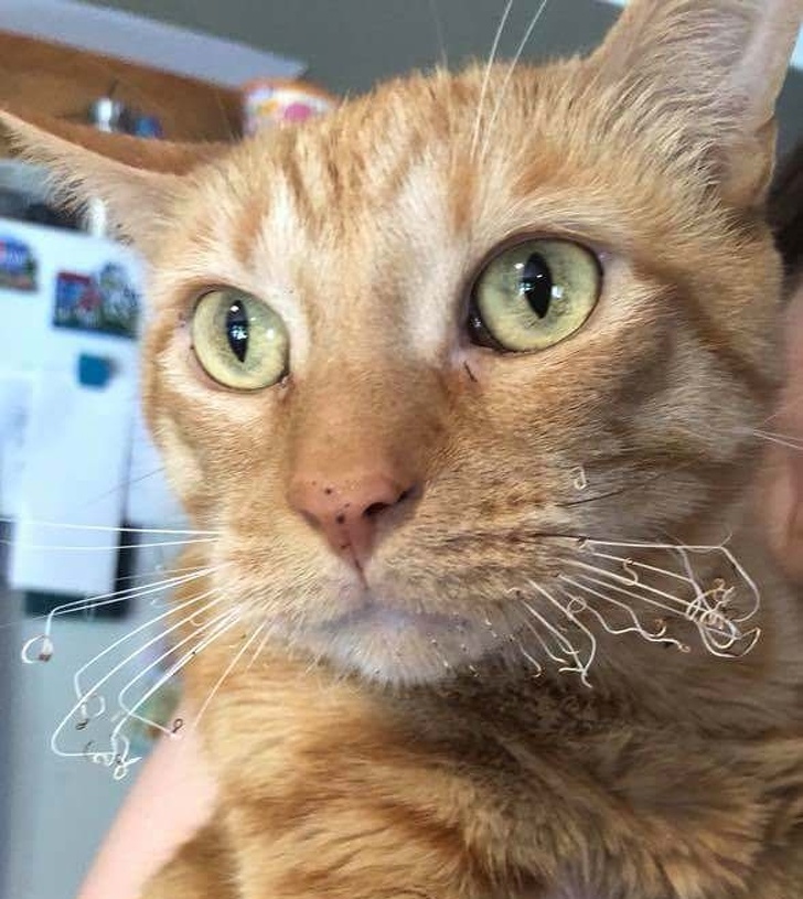 Illustration de l'article : Ces 22 photos de personnes pas forcément les plus chanceuses