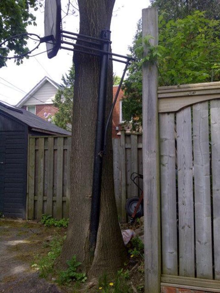 Illustration de l'article : Ces 14 photos qui montrent la puissance de la nature