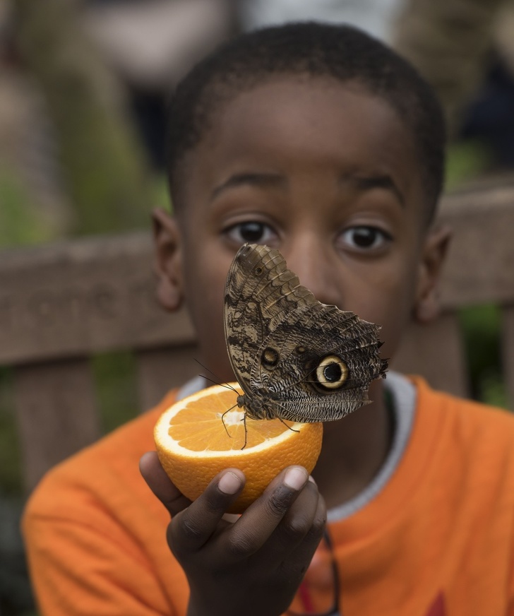 Illustration de l'article : Ces 19 photos qui transmettent la joie de vivre
