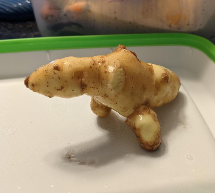 Illustration de l'article : Ces 17 personnes qui voient des visages là où il n'y en a pas