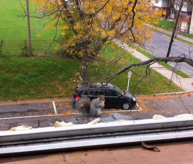 Illustration de l'article : 25 photos trompeuses qui nécessitent de la réflexion