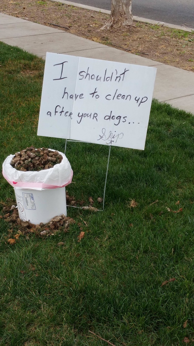 Illustration de l'article : Ces 13 photos qui montrent ce que c'est que d'en avoir marre