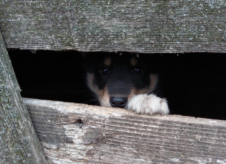 Illustration de l'article : Ces 18 personnes qui ont eu un joli coup du destin