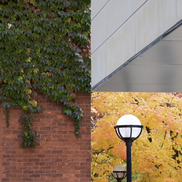 Illustration de l'article : Ces 21 photos qui semblent montrer autre chose