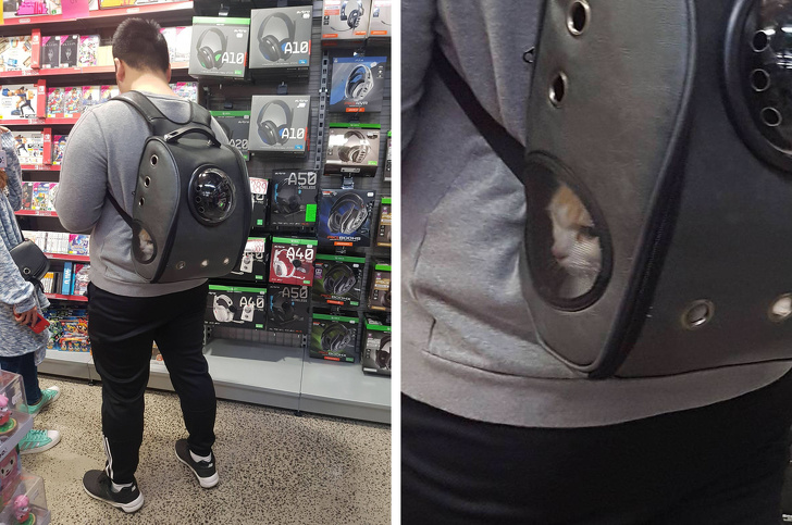 Illustration de l'article : Ces 23 curiosités qui montrent qu'il faut être attentif autour de soi