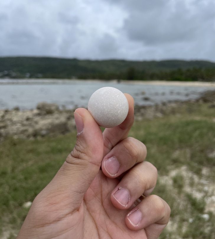 Illustration de l'article : Ces 20 photos illustrant les oeuvres insolites de la nature