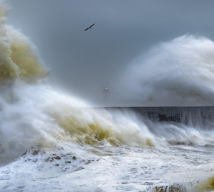 Illustration de l'article : Ces 16 choses inhabituelles créées par la nature