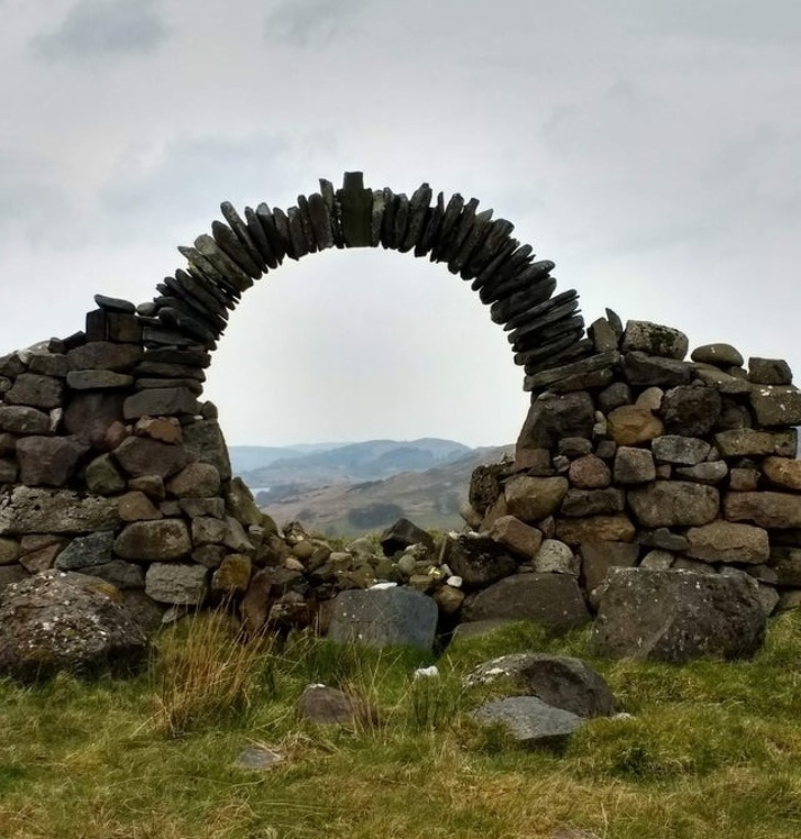 Illustration de l'article : Ces 22 photos saisies au bon moment