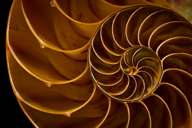 Illustration de l'article : La nature crée de merveilleuses œuvres d’art, comme le montrent ces 31 photos