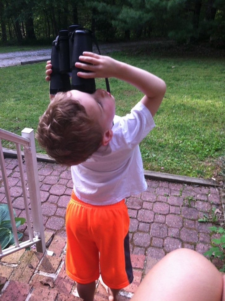 Illustration de l'article : Ces 14 personnes qui tentent d'apprendre la vie