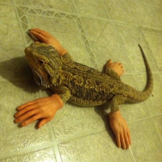 Illustration de l'article : 25 internautes partagent avec vous leurs instants de vie les plus marquants