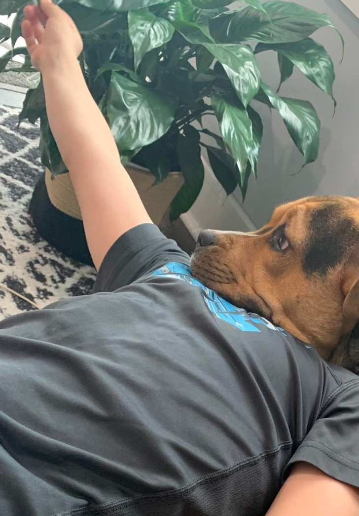 Illustration de l'article : Ces 20 photos qui demandent &agrave; y regarder par deux fois