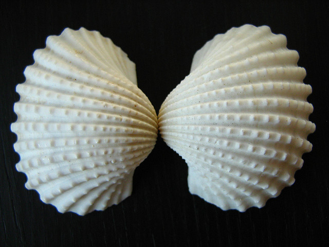 Illustration de l'article : La nature crée de merveilleuses œuvres d’art, comme le montrent ces 31 photos