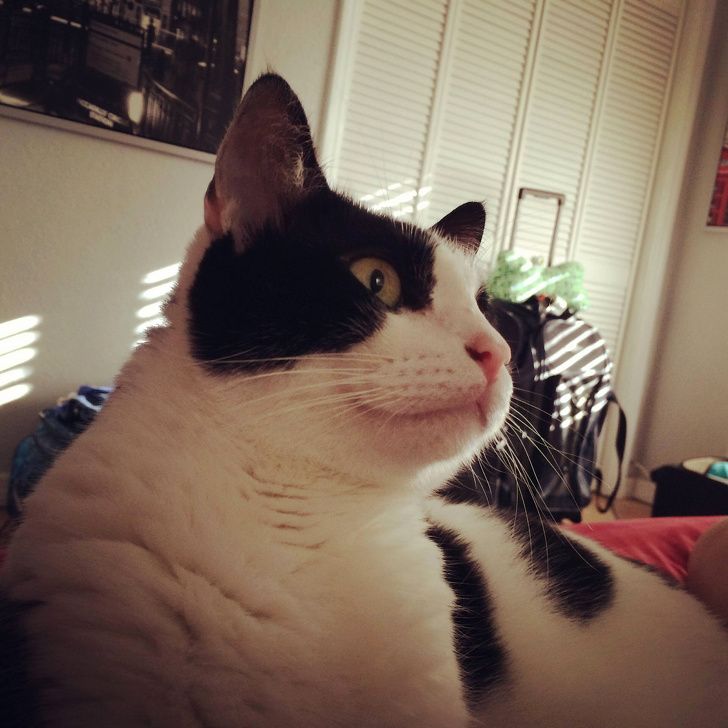 Illustration de l'article : Ces 20 personnes qui ont loué un logement de rêve pour leurs vacances