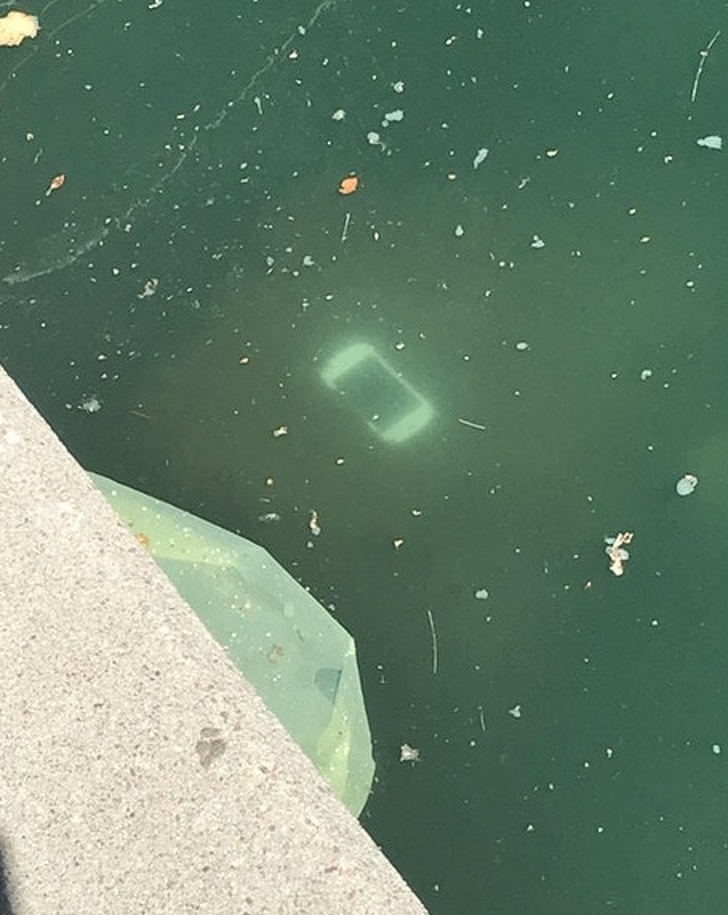 Illustration de l'article : Ces 13 photos qui montrent ce que c'est que d'avoir la poisse