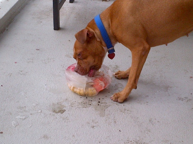 Illustration de l'article : Ces 28 choses qui ne se produisent que dans les pays chauds