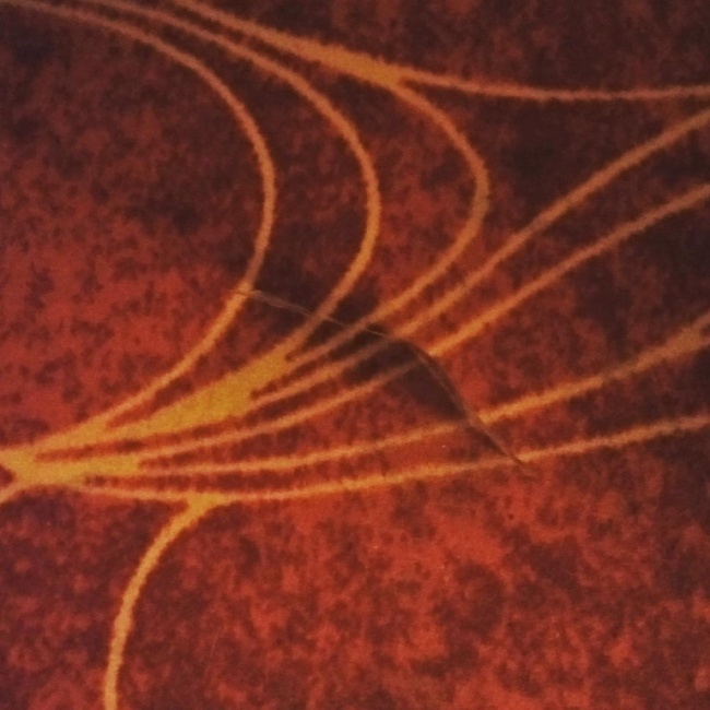 Illustration de l'article : 25 photos qui tromperont même les esprits les plus perspicaces