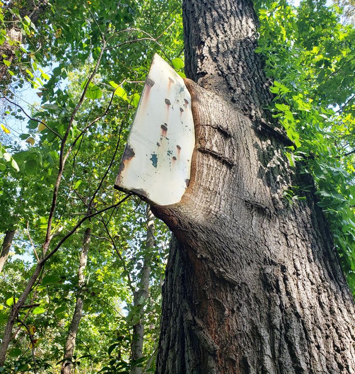 Illustration de l'article : Ces 20 photos illustrant des phénomènes du quotidien