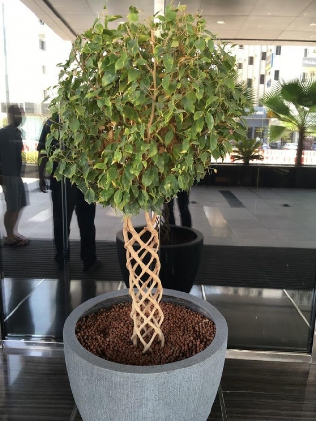 Illustration de l'article : 27 choses très surprenantes existant sur notre planète