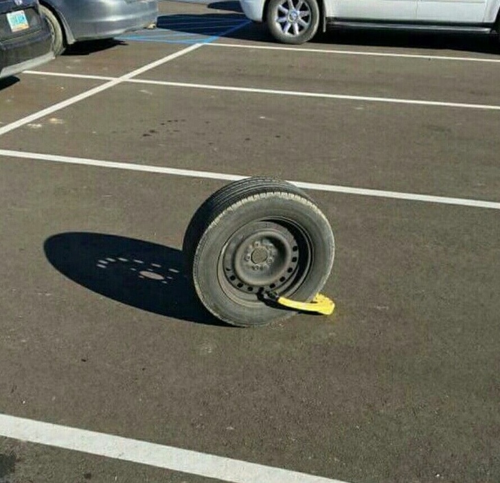 Illustration de l'article : Ces 16 photos de personnes ayant fait un truc dénué d'intelligence