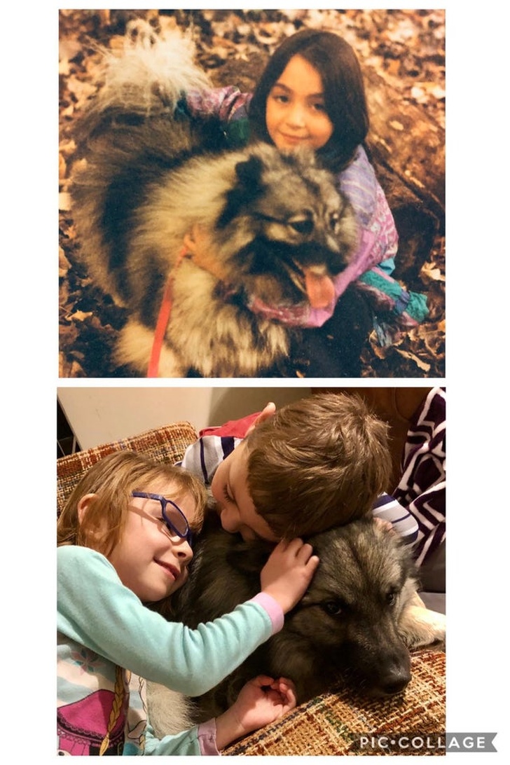 Illustration de l'article : Ces 20 photos avant/après qui montrent que certaines choses ne changent jamais